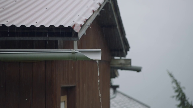 Video Reference: Roof, House, Bird feeder, Window, Siding