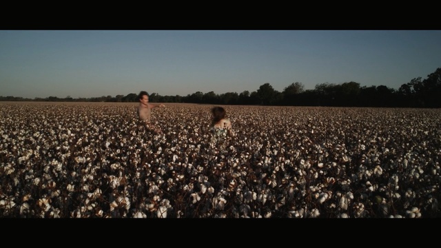 Video Reference: Field, Farm, Crop, Crowd, Sky, Herd, Plant, Photography, Horizon, Landscape