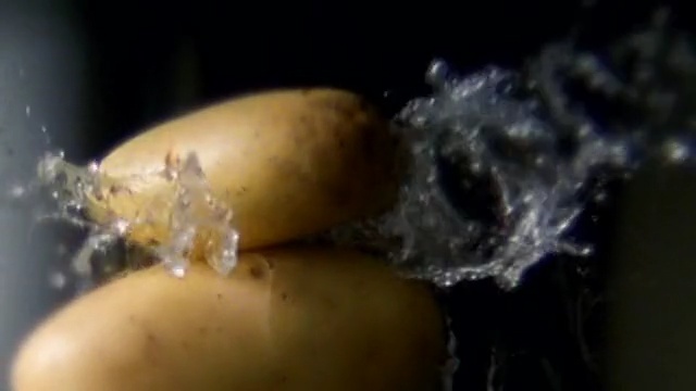Video Reference: Water, Close-up, Organism, Plant, Banana family, Potato