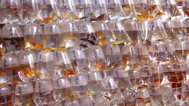 Video Reference: glass, Person