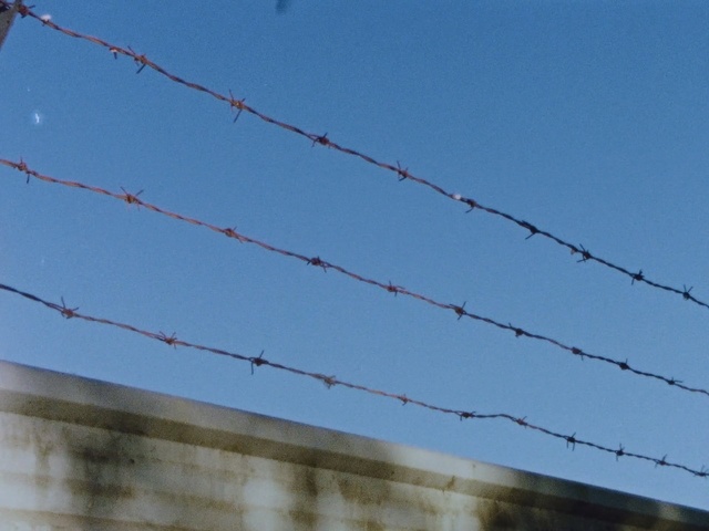 Video Reference: Wire fencing, Wire, Sky, Blue, Barbed wire, Line, Fence, Parallel