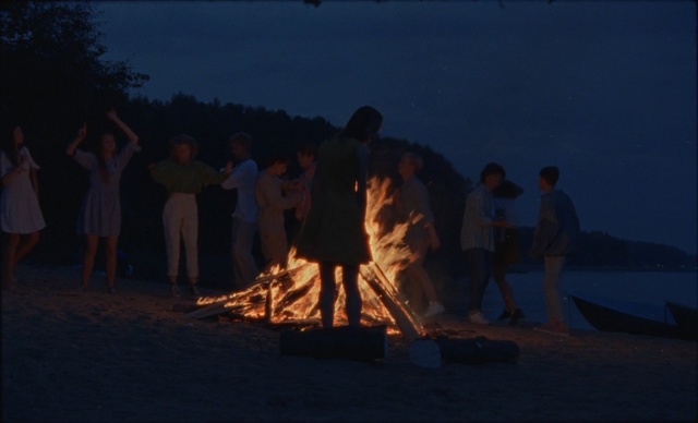 Video Reference: Campfire, Fire, Bonfire, Night, Sky, Heat, Camping, Flame, Event, Landscape