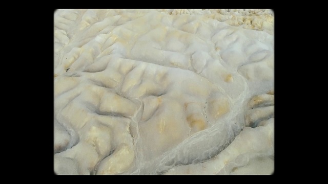 Video Reference: Dish, Cuisine