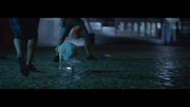 Video Reference: Black, Photograph, Green, Darkness, Light, Snapshot, Screenshot, Fun, Human, Water