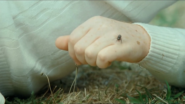 Video Reference: hand, finger, grass