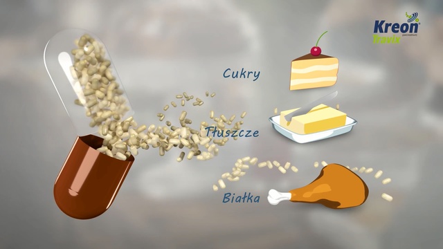 Video Reference: Font, Illustration, Food