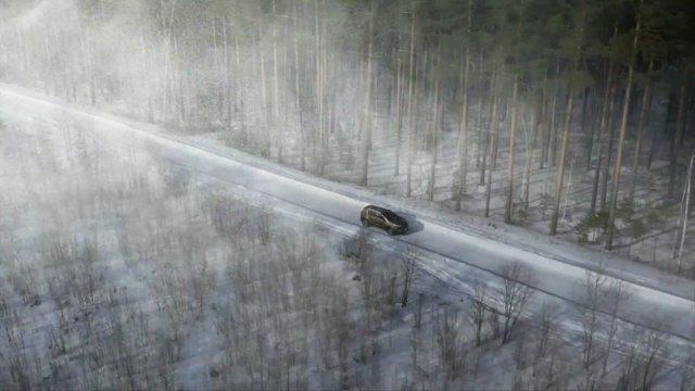 Video Reference: road, snow, freezing, tree, geological phenomenon, winter, frost, water, asphalt, forest