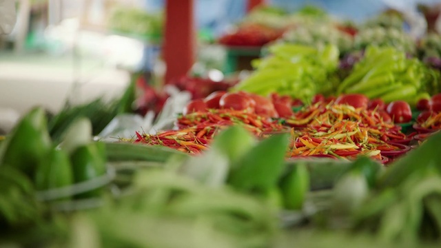 Video Reference: Plant, Flower, Vegetable, Market, Food, Leaf vegetable, Vegetarian food, City, Recipe, Cuisine, Person, Grass, Table, Sitting, Green, Pizza, Salad, Small, Close, White, Plate, Different, Covered, Colorful, Cake, Red, Toppings, Board, Broccoli, Standing, Blue, Fresh