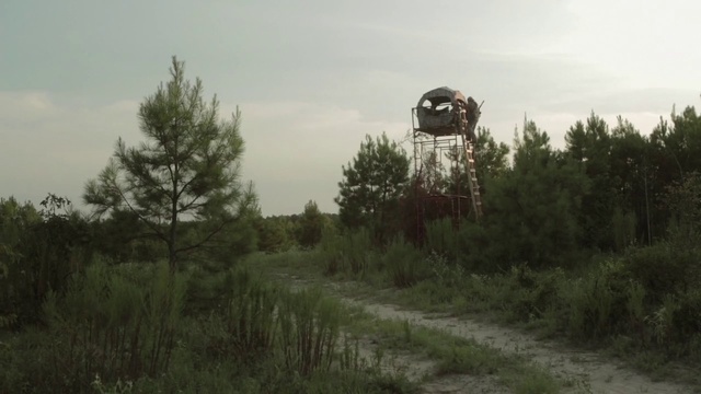 Video Reference: Natural environment, Atmospheric phenomenon, Tree, Rural area, Land lot, Forest, Grass, Vehicle, Road, Dirt road