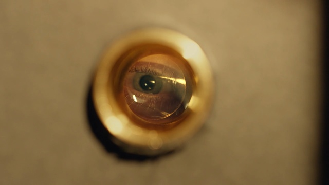 Video Reference: macro photography, close up, eye, metal, brass, body jewelry