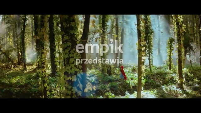 Video Reference: Tree, Forest, Nature, Woodland, Natural environment, Old-growth forest, Vegetation, Nature reserve, Jungle, Northern hardwood forest