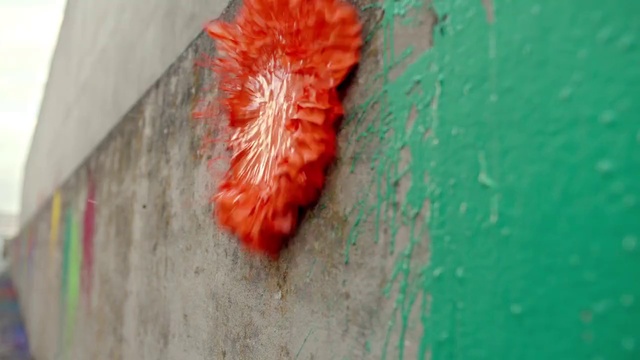 Video Reference: Red, Orange, Organism, Insect, Caterpillar, Coquelicot