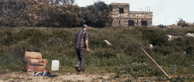 Video Reference: grass, tree, plant, landscape, village, grass family, land lot