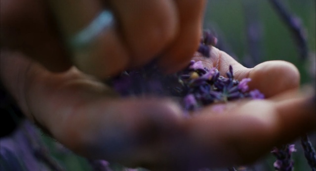 Video Reference: purple, violet, finger, hand, nail