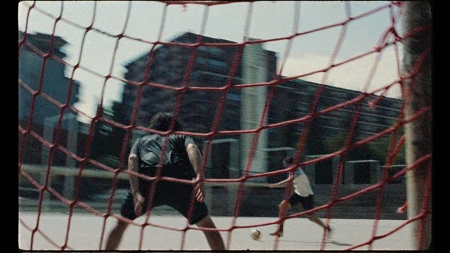 Video Reference: Net, Cage, Chain-link fencing, Animal shelter, Zoo