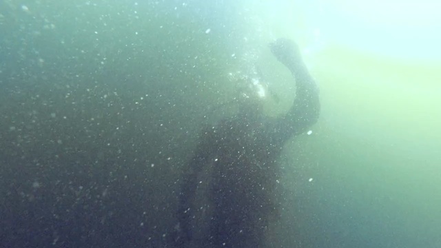 Video Reference: underwater, water, sea, atmosphere, ocean, marine biology, sunlight