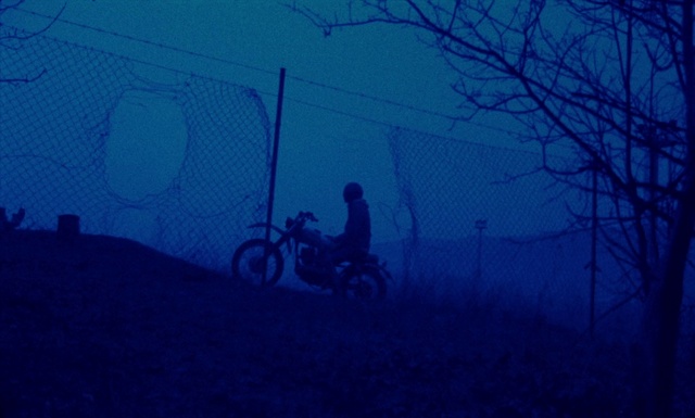 Video Reference: Blue, Sky, Atmospheric phenomenon, Light, Atmosphere, Night, Darkness, Cloud, Tree, Electric blue