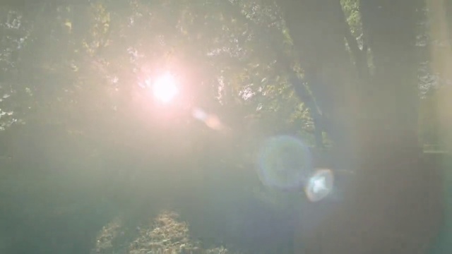 Video Reference: Atmospheric phenomenon, Sky, Light, Sunlight, Atmosphere, Water, Lens flare, Haze, Cloud