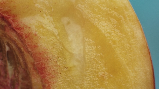 Video Reference: citrus, edible fruit, fruit, lemon, food, produce, grapefruit, orange, fresh