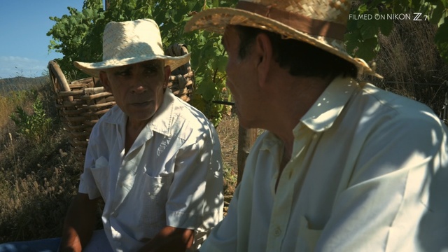 Video Reference: Cowboy hat, Hat, Adaptation, Headgear, Tree, Fedora, Fashion accessory, Sun hat, Plant, Cowboy, Person