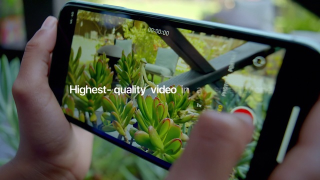 Video Reference: Gadget, Mobile phone, Communication Device, Portable communications device, Smartphone, Leaf, Electronic device, Technology, Grass, Plant