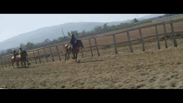 Video Reference: horse, horse like mammal, ranch, western riding, pack animal, mustang horse, stallion, pasture, mare, jockey