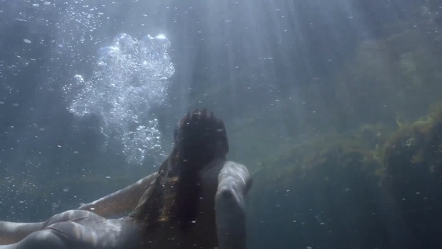 Video Reference: Water, Underwater, Sunlight, Marine mammal