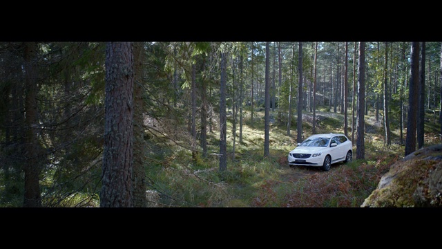 Video Reference: Land vehicle, Vehicle, Nature, Car, Off-roading, Natural environment, Wilderness, Forest, Tree, Woodland