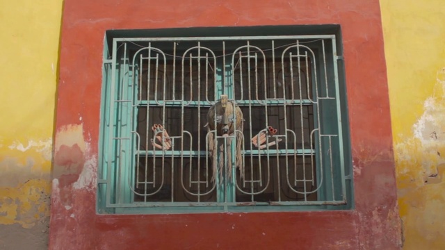 Video Reference: Cage, Iron, Window, Metal, Facade, Art