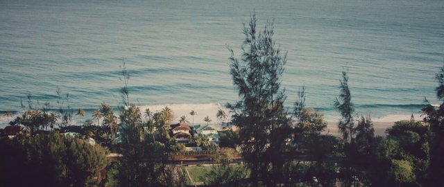 Video Reference: Tree, Sky, Woody plant, Landscape, Plant, Cloud, House, Pine family, Person