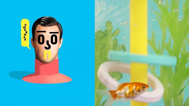 Video Reference: Cartoon, Illustration, Art, Goldfish, Fish