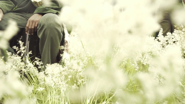 Video Reference: photograph, green, grass, flower, plant, photography, tree, sunlight, spring, woodland