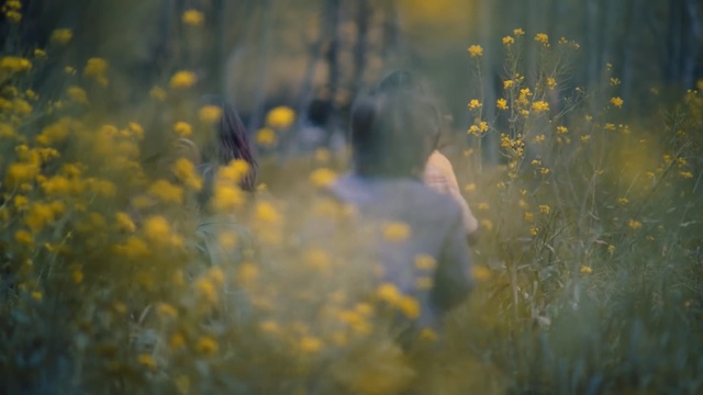 Video Reference: Yellow, Nature, Green, Light, Spring, Grass, Flower, Plant, Tree, Wildflower