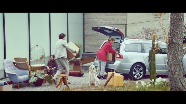 Video Reference: Vehicle door, Snapshot, Car, Vehicle, Human, Photography, Tree, Art, Subcompact car
