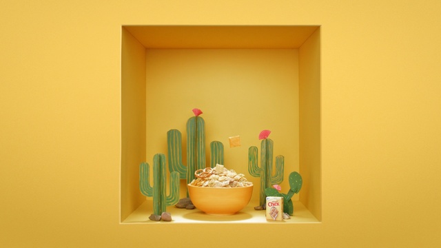 Video Reference: Yellow, Orange, Room, Still life photography, Still life, Shelf, Plant, Picture frame, Cactus, Person