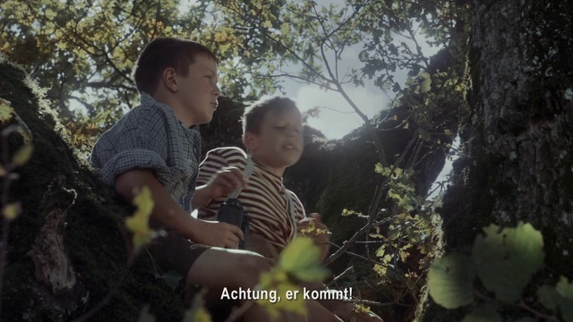 Video Reference: Photograph, Jungle, Adaptation, Wilderness, Tree, Photography, Forest, Plant, Rainforest, Smile