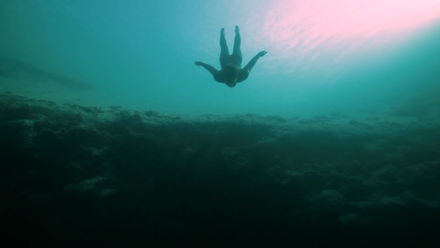 Video Reference: underwater diving, underwater, scuba diving, freediving, sea, divemaster, water, diving, marine biology, recreation