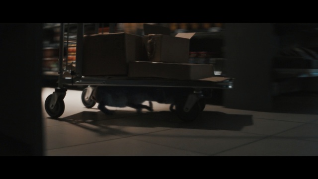 Video Reference: Mode of transport, Vehicle, Automotive design, Darkness, Automotive exterior, Photography, Wheel