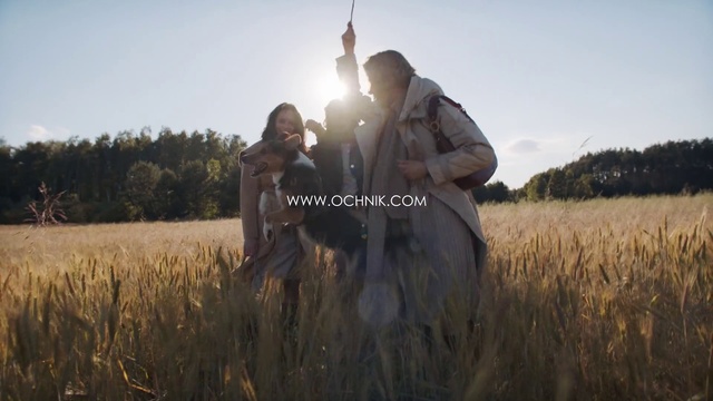 Video Reference: Grass family, Plant, Straw, Wheat, Photography, Crop, Field, Grain