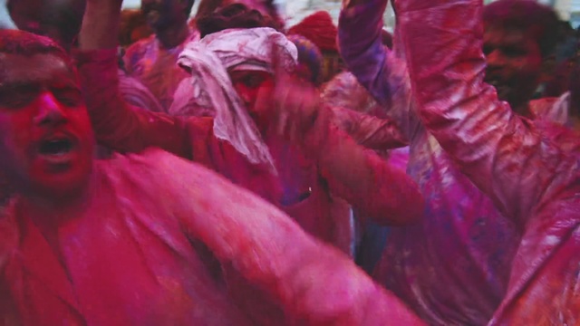 Video Reference: Pink, Red, Flower, Magenta, Petal, Purple, Plant, Perennial plant