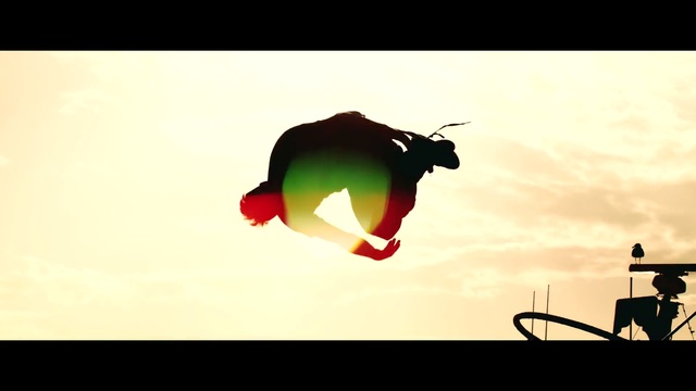 Video Reference: Bull, Illustration, Bovine, Cartoon, Organism, Photography, Graphic design, Silhouette, Animation, Art