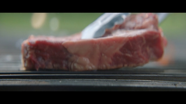 Video Reference: Food, Red meat, Kobe beef, Animal fat, Dish, Meat, Beef, Rib eye steak, Sirloin steak, Cuisine