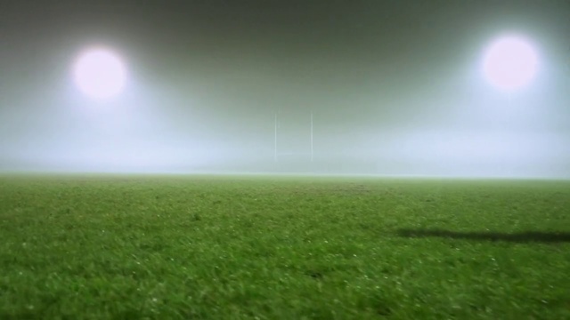 Video Reference: Atmosphere, Grassland, Nature, Green, Sky, Atmospheric phenomenon, Daytime, Grass, Field, Natural environment