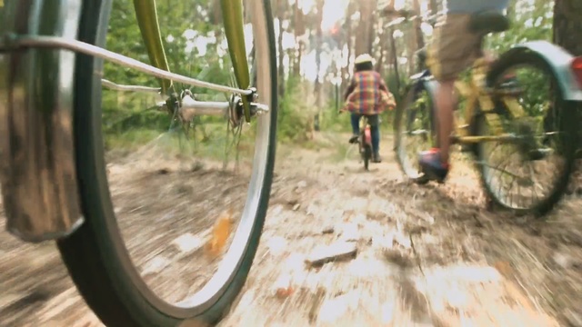 Video Reference: Mode of transport, Tree, Vehicle, Bicycle tire, Adaptation, Downhill mountain biking, Bicycle, Photography, Forest, Mountain bike, Person