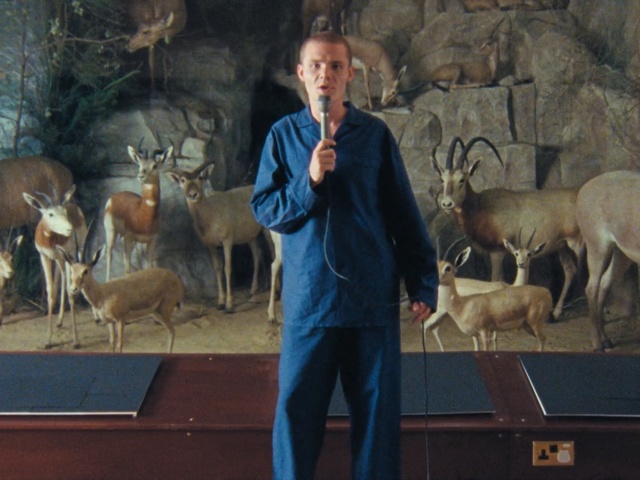 Video Reference: fauna, deer, wildlife, horn, Person