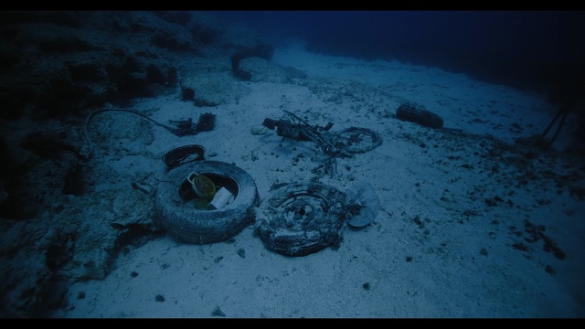 Video Reference: Blue, Underwater, Water, Organism, Sea, Snow, Television, Sitting, Old, Covered, Dark, Laying, Black, Dirty, Street, White, Room, Field, Standing, Flying, Reef, Marine invertebrates, Fish, Ocean floor