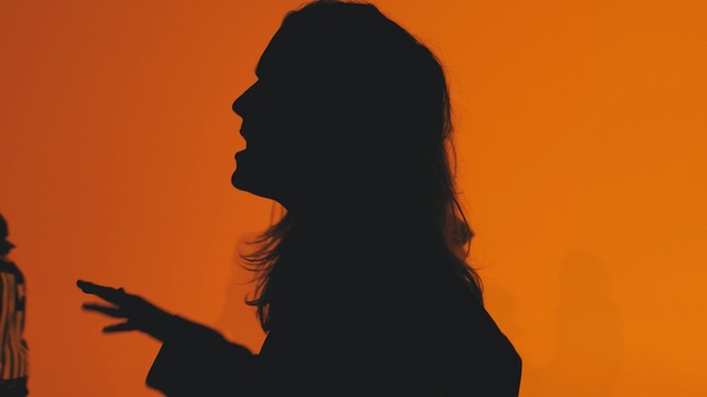 Video Reference: silhouette, orange, girl, sky, shadow, backlighting, computer wallpaper, art, visual arts