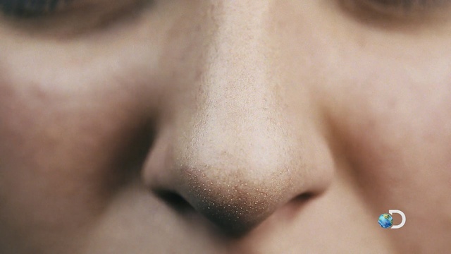 Video Reference: nose, cheek, skin, eyebrow, chin, lip, close up, forehead, eyelash, jaw