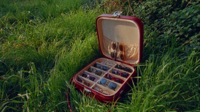 Video Reference: Automotive lighting, Plant, Sports equipment, Bumper, Grass, Motor vehicle, Wood, Tree, Chair, Gas