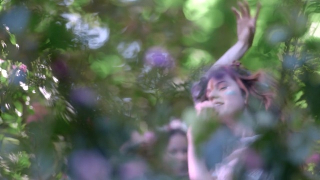 Video Reference: branch, leaf, tree, woody plant, plant, flora, purple, grass, sunlight, spring